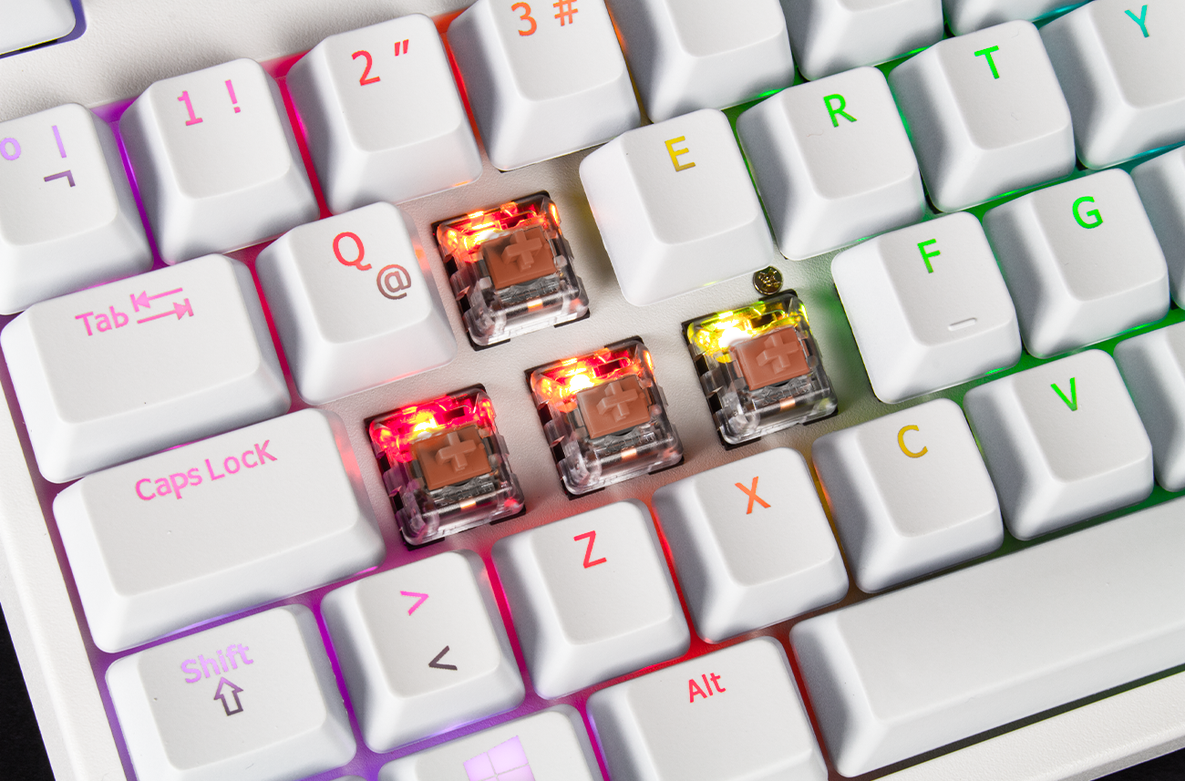 Blanco / Regular Marrón